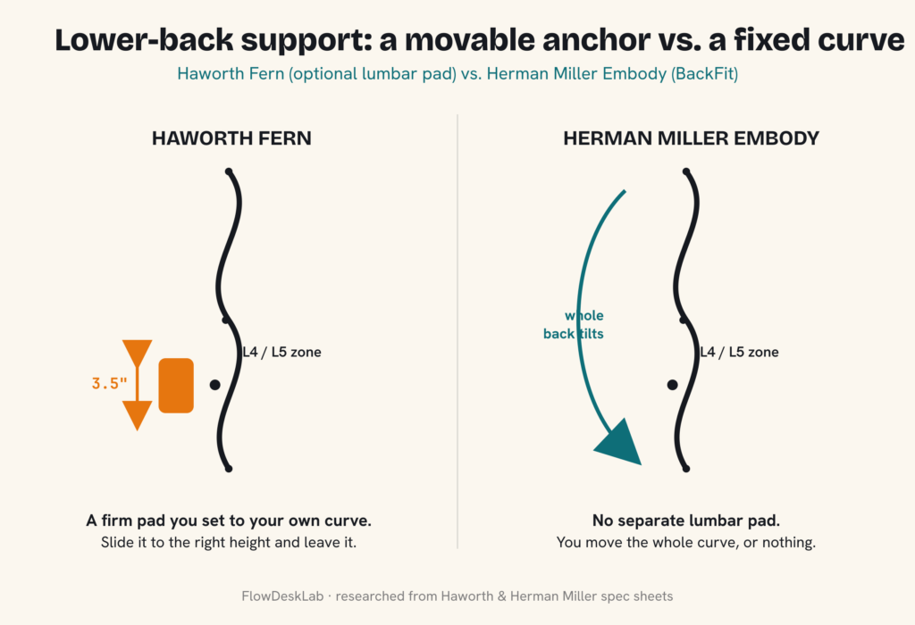 fern vs embody lumbar diagram